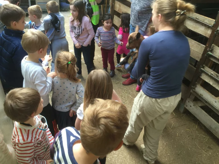 13055806_1246113732074227_2303240401337198872_o_1246113732074227