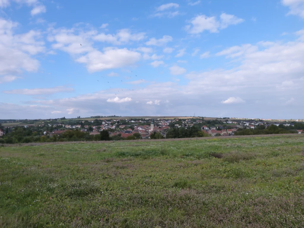 P1020257