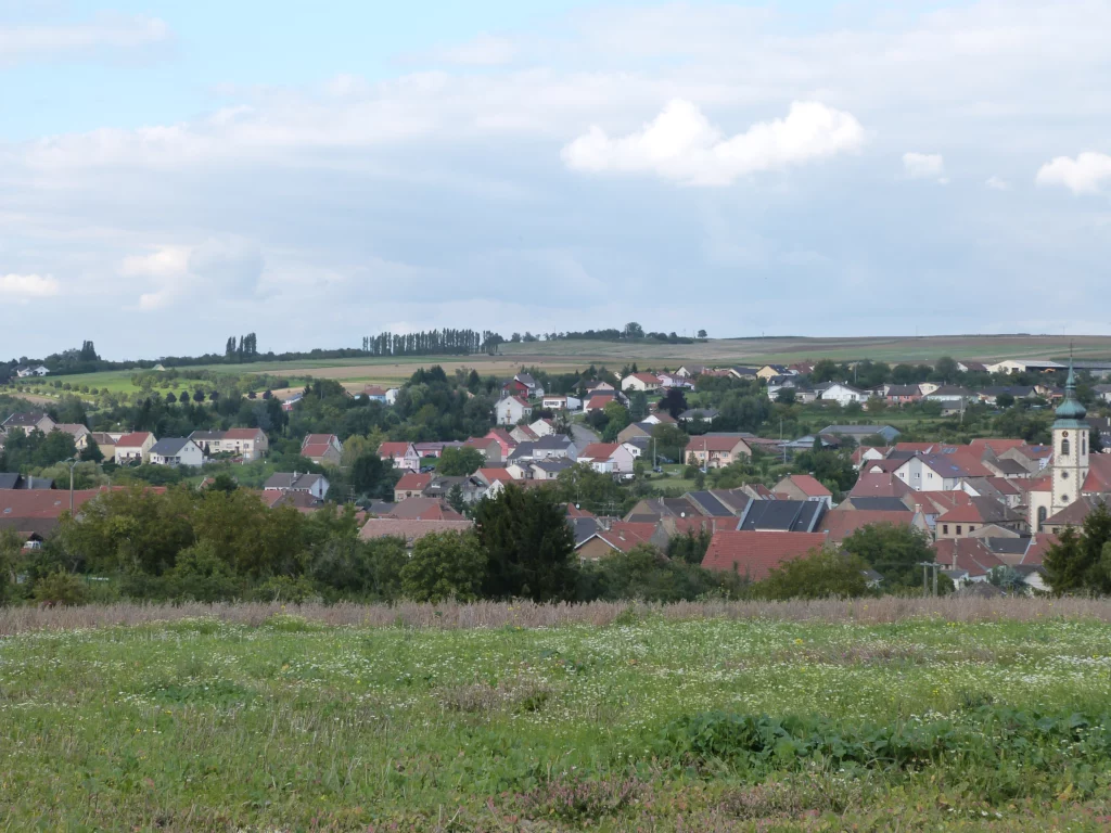 P1020260