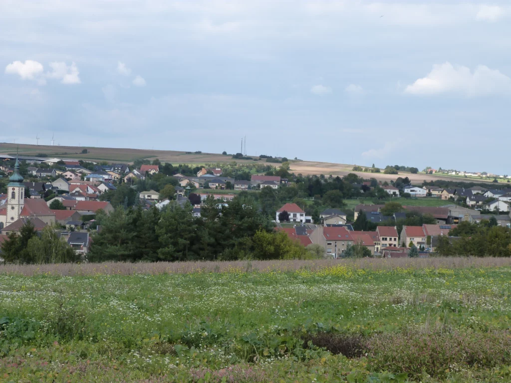 P1020261