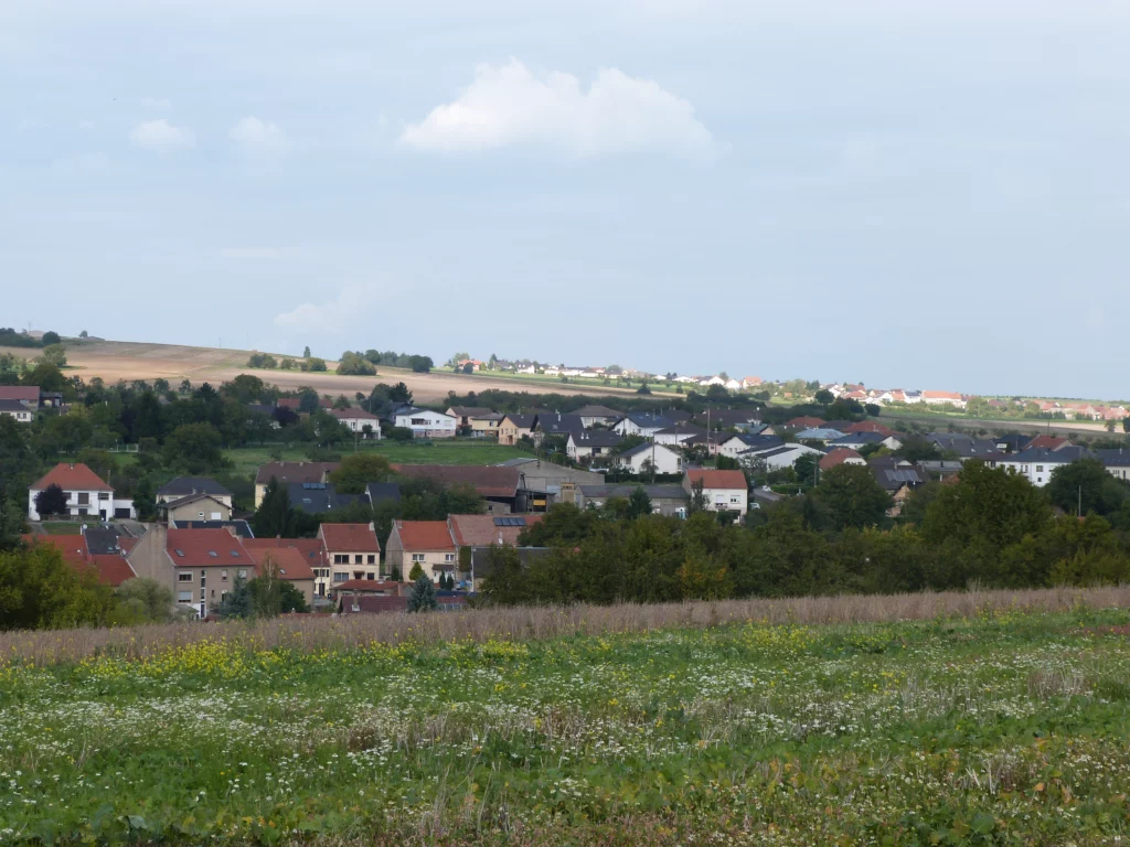 P1020262