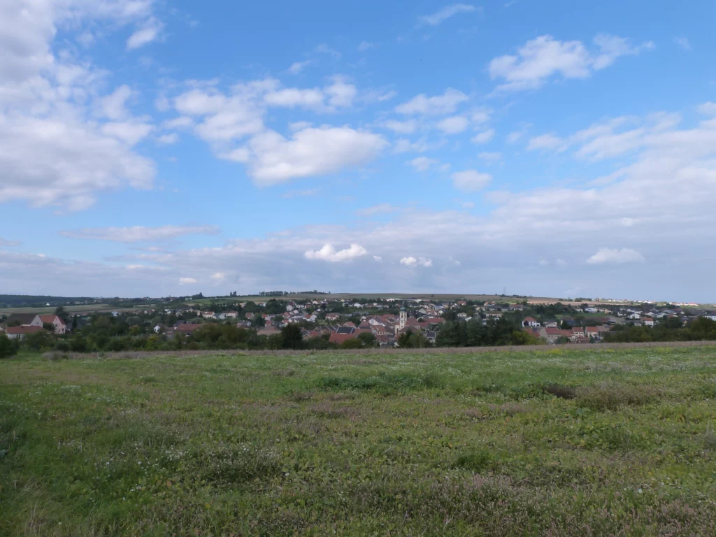 P1020263