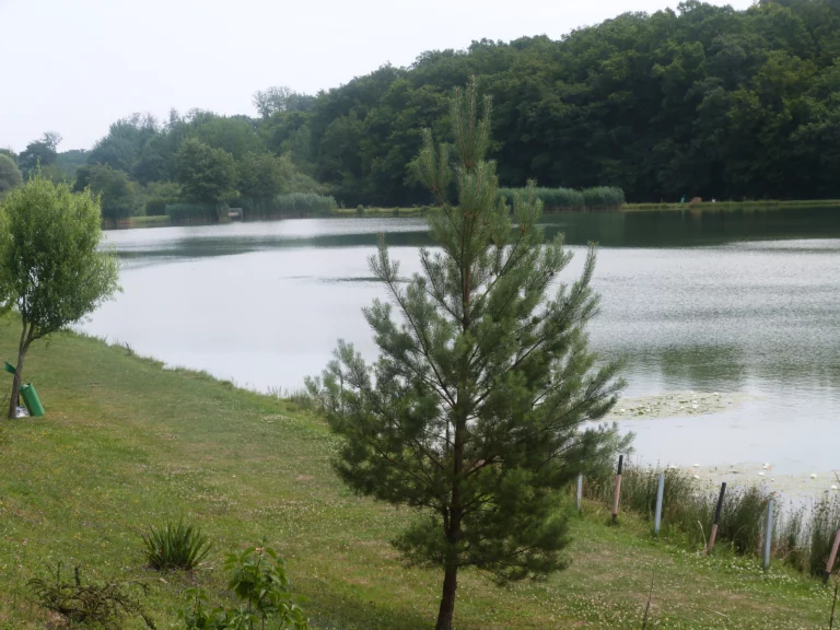 P1030370