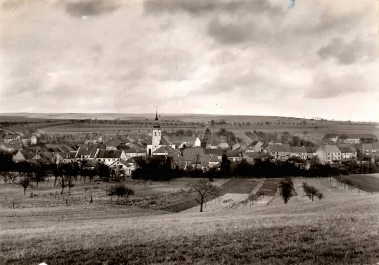 Vue panoramique de Diebling depuis les champs
