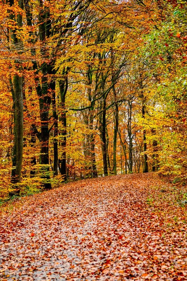 automne-2014_02