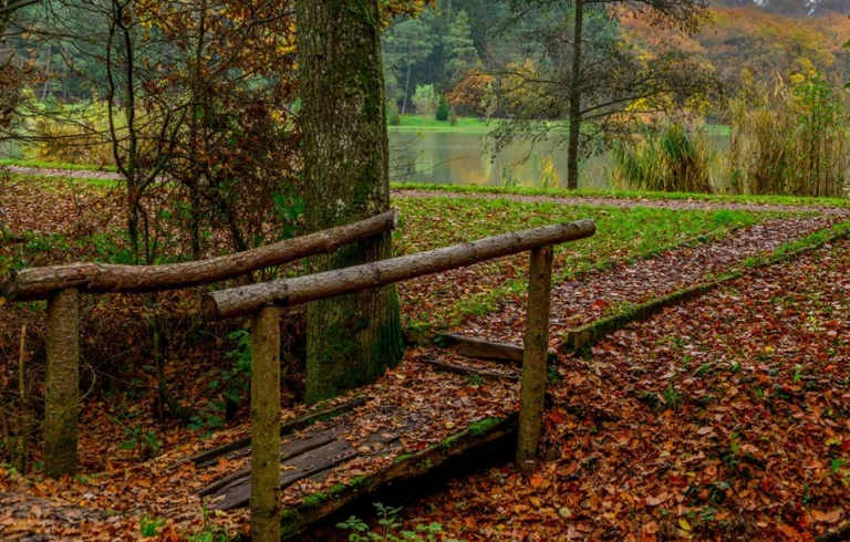 automne-2014_03