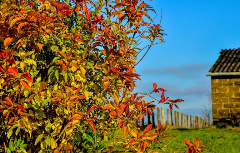 automne-2014_04