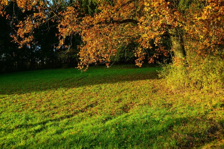 automne-2014_06