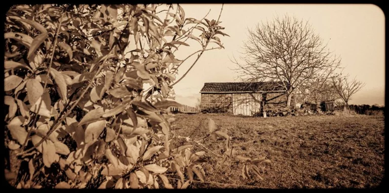 automne-2014_08