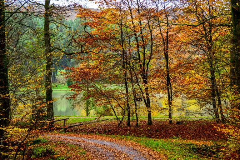 automne-2014_09