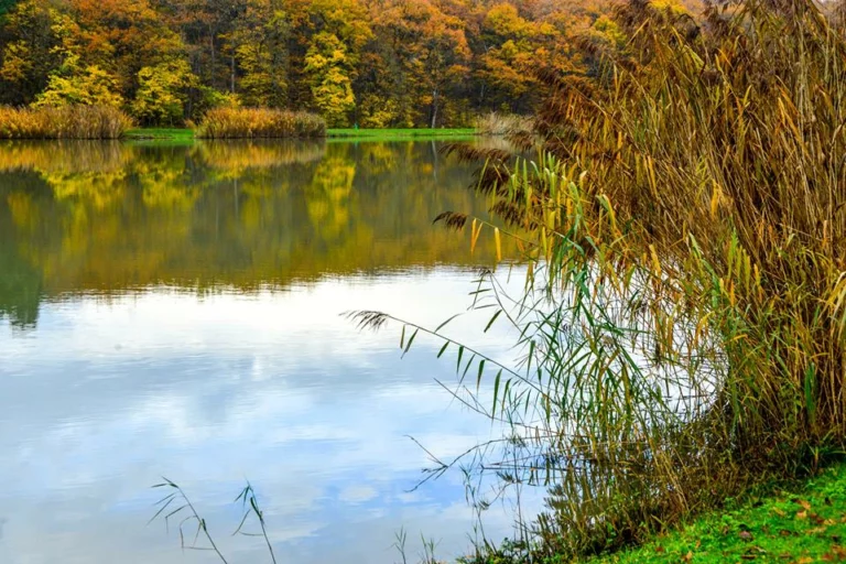 automne-2014_10