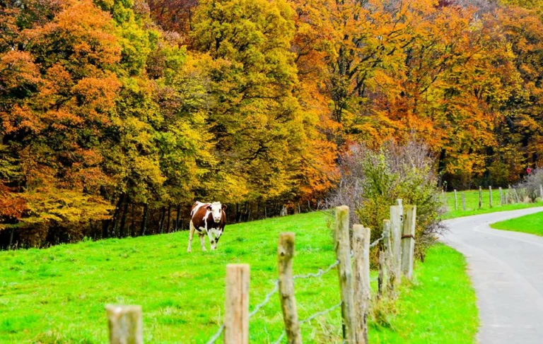automne-2014_12