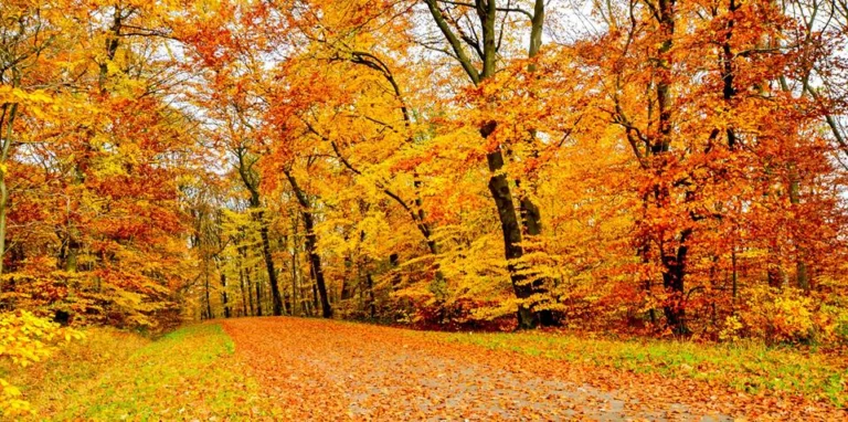 automne-2014_13