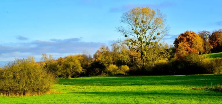 automne-2014_19