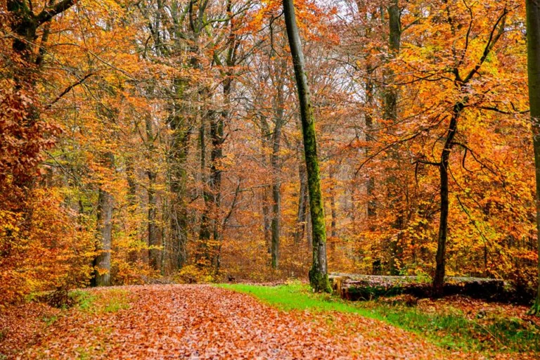 automne-2014_20