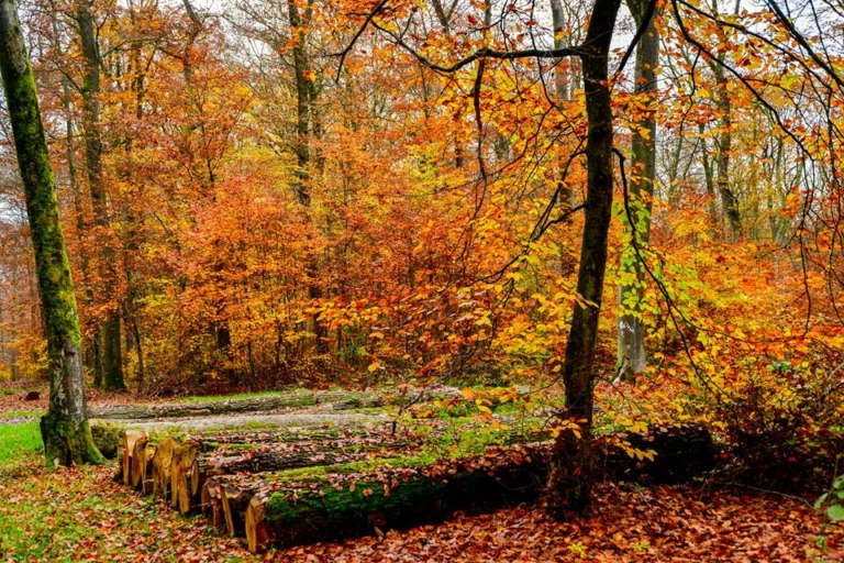 automne-2014_25