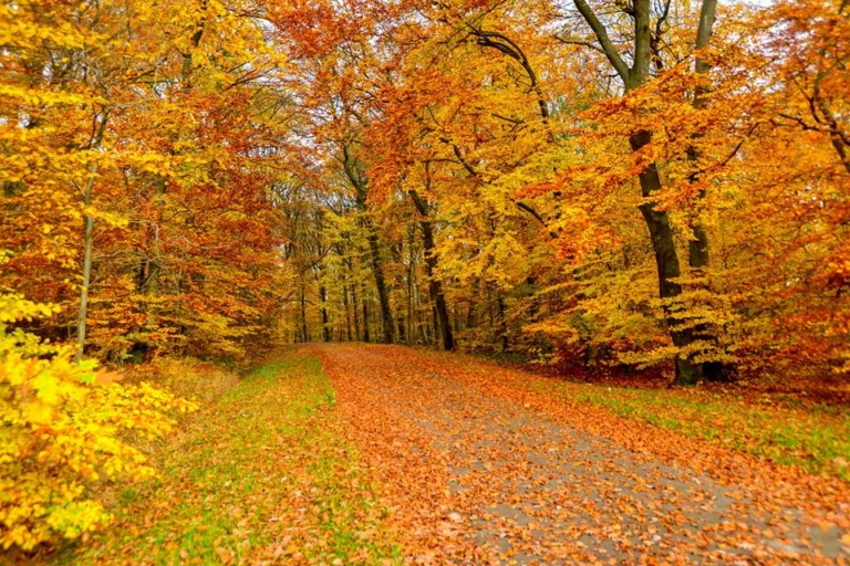 automne-2014_26
