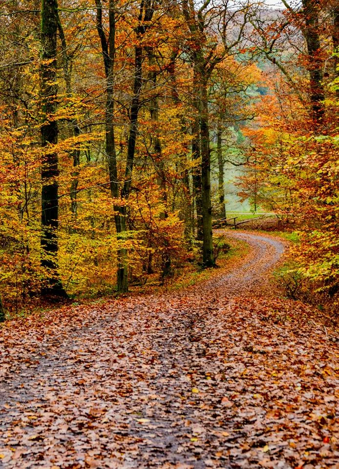 automne-2014_29
