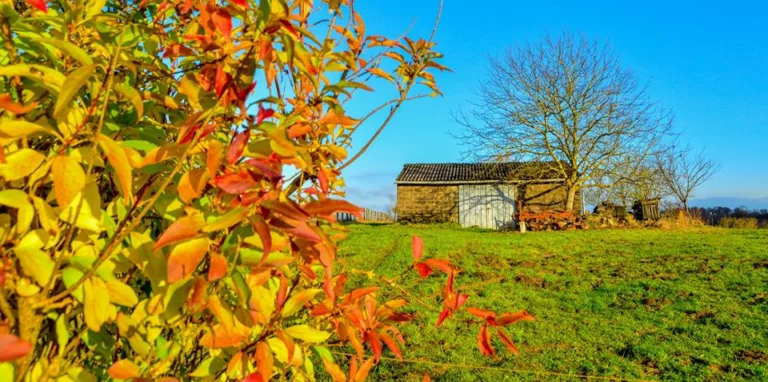 automne-2014_31