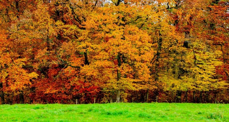 automne-2014_32
