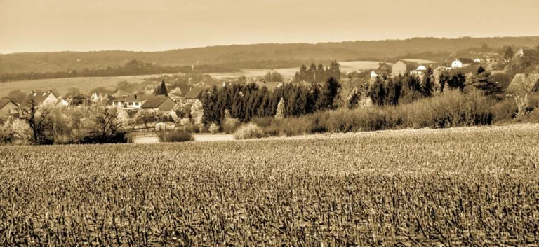 automne-2014_36