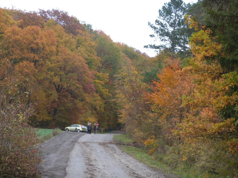 automne-2014_37