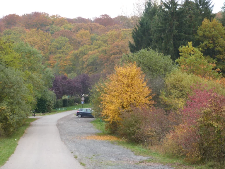 automne-2014_38