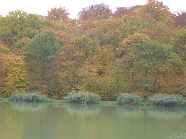 automne-2014_39