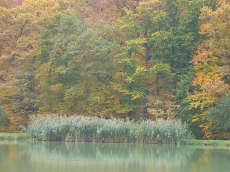 automne-2014_40