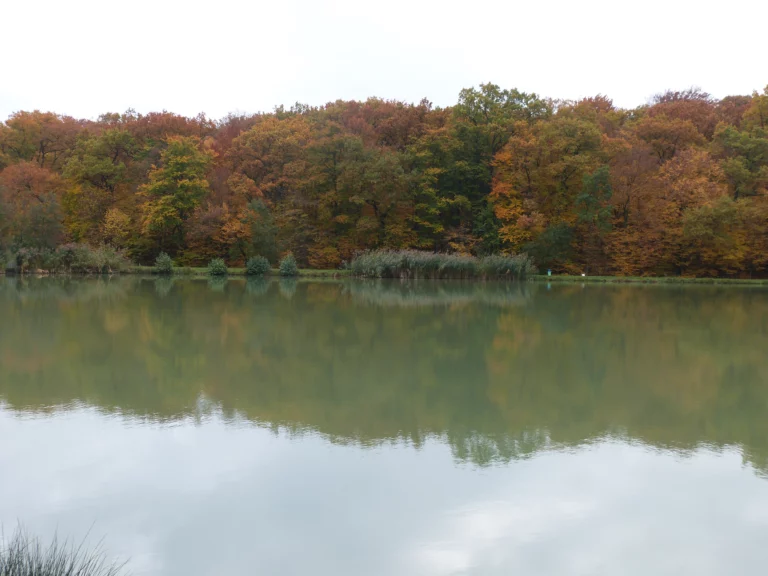 automne-2014_41