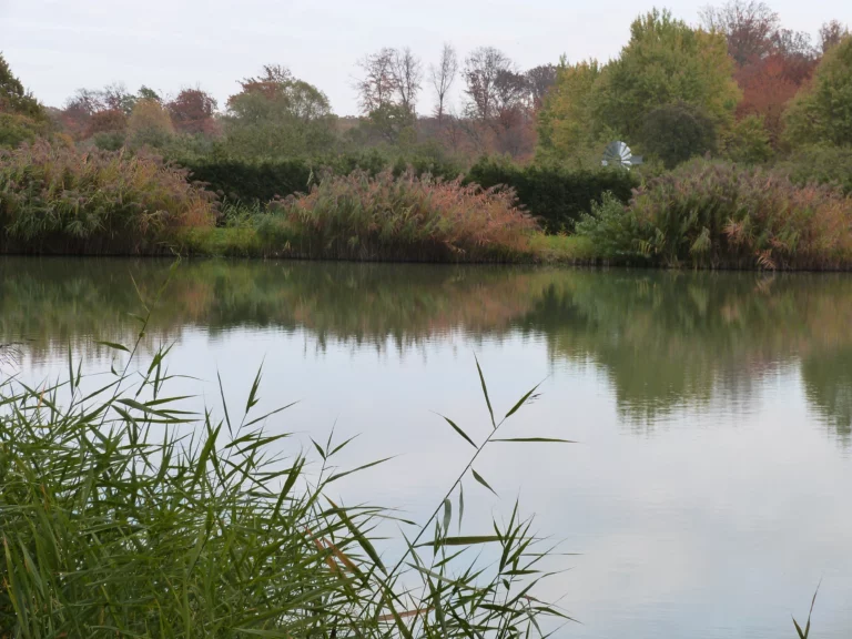 automne-2014_42