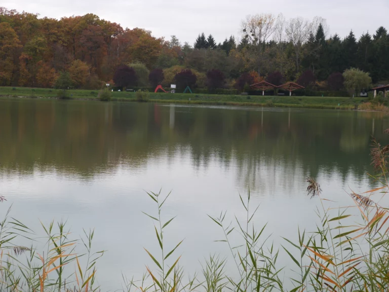 automne-2014_43