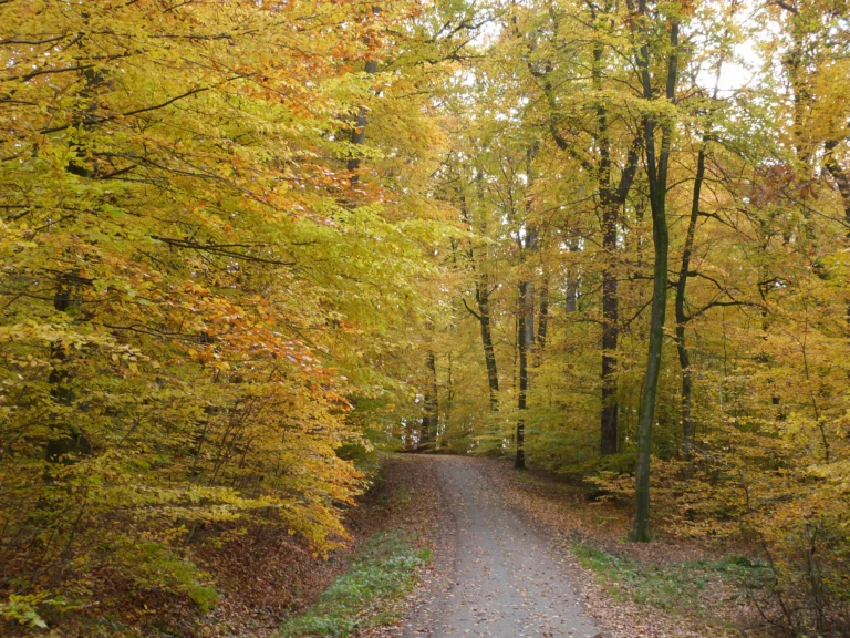 automne-2014_44