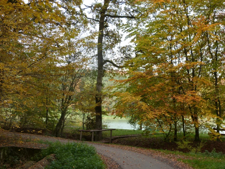 automne-2014_45