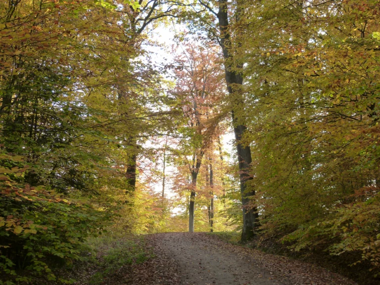 automne-2014_46
