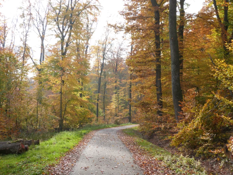 automne-2014_48