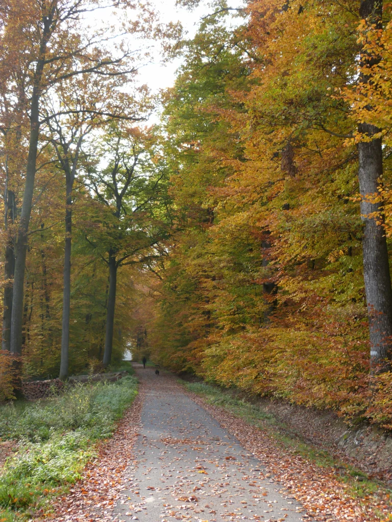 automne-2014_49