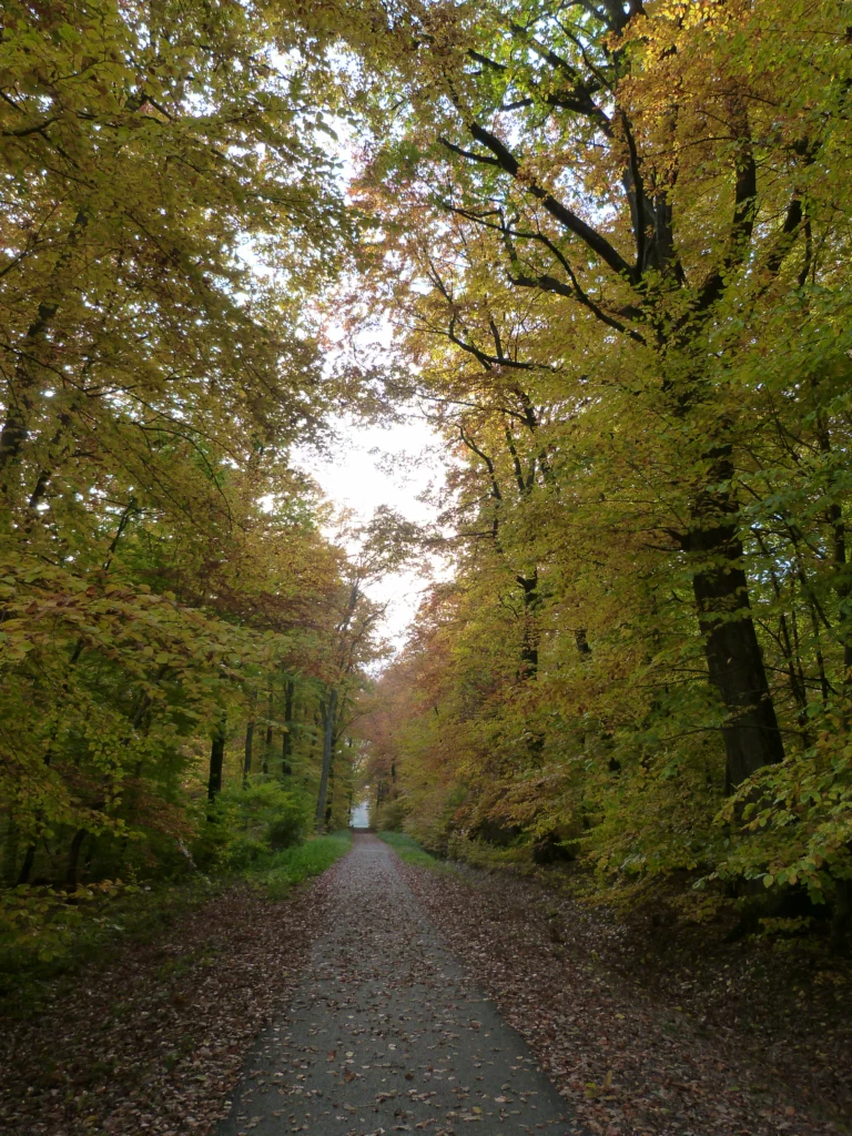 automne-2014_50