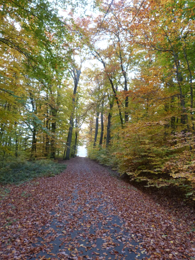 automne-2014_51