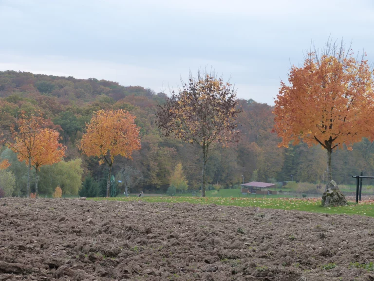 automne-2014_52