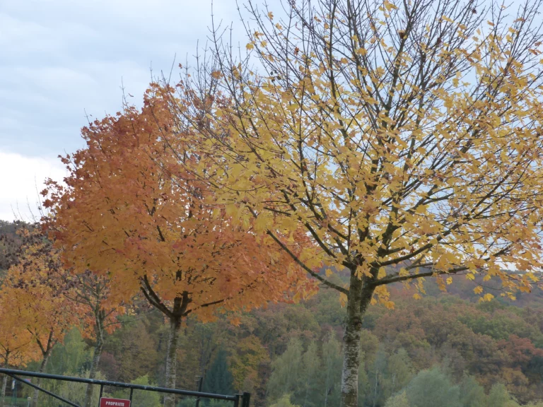 automne-2014_53
