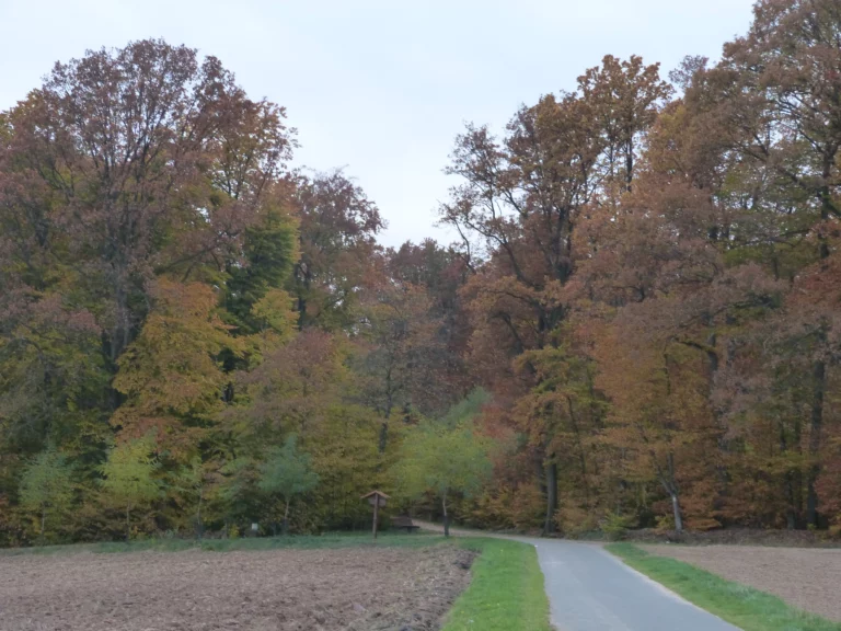 automne-2014_55