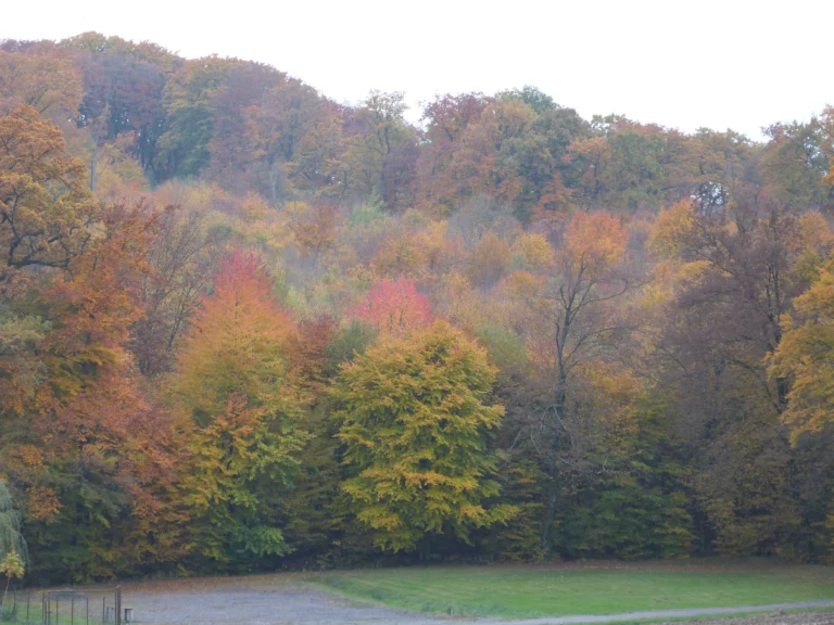 automne-2014_56