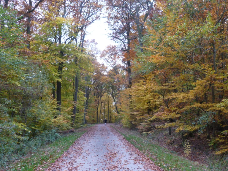 automne-2014_57
