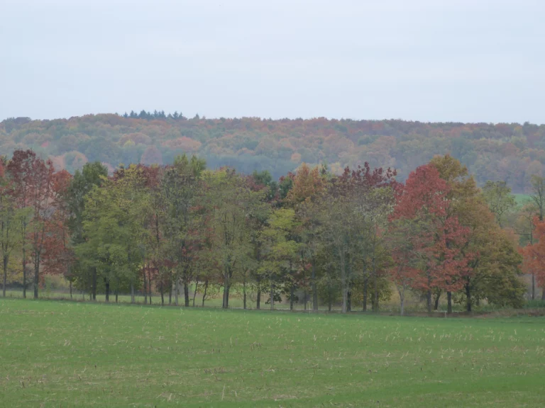 automne-2014_58