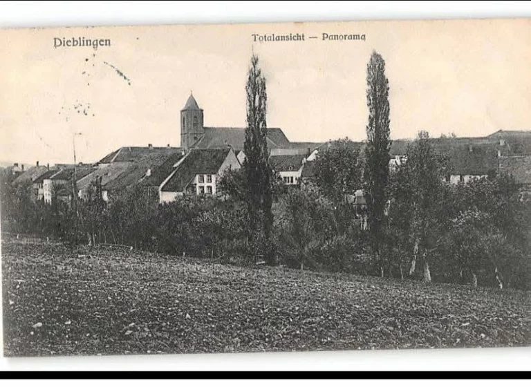 Carte postale « Dieblingen — Totalansicht Panorama »