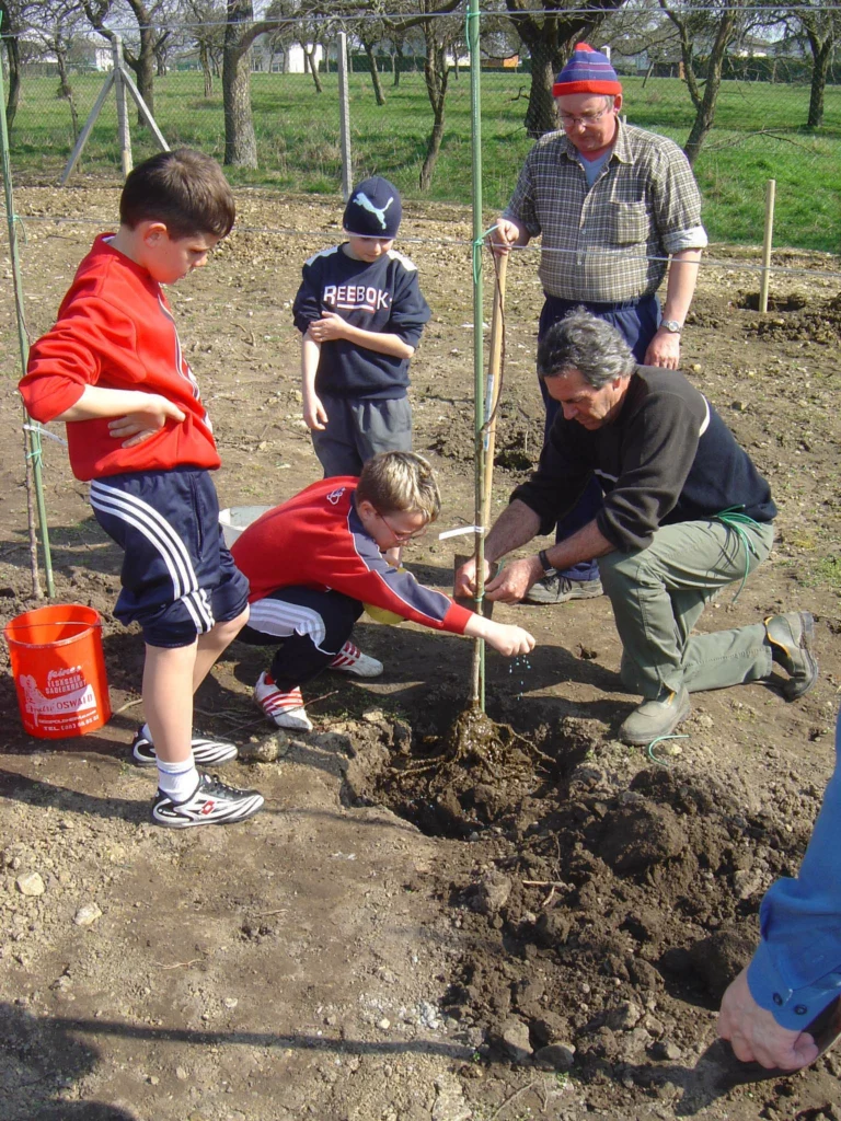 ecole-verger-creation01