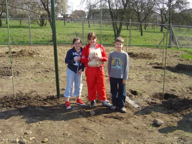 ecole-verger-creation02