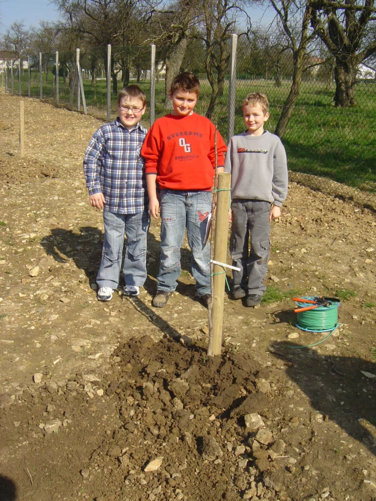 ecole-verger-creation05