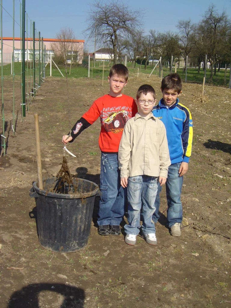ecole-verger-creation06
